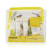 Decleor Lavende Fine Firming Discovery Kit Gift Set Sets 3395019916990