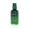 Innisfree Ladies Green Tea Seed Serum 2.7 oz Skin Care 8809707249659