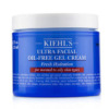 Kiehl'S Unisex Ultra Facial Oil-Free Gel Cream Gel 4.22 oz Skin Care 3605970321338