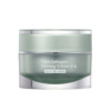 Natural Beauty Ladies Yam Collagen Firming Creme 1 oz Skin Care 4711665114860