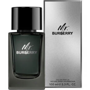 Burberry Men's Mr. Burberry EDP Spray 3.4 oz Fragrances 3616301838210