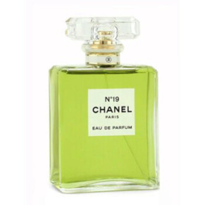 Chanel Ladies No.19 EDP Spray 3.3 oz Fragrances 3145891195309