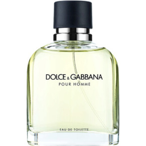 Dolce & Gabbana Men's Pour Homme EDT 4.2 oz (Tester) Fragrances 737052612867