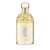 Guerlain Aqua Allegoria Mandarine Basilic / Guerlain EDT Spray 4.2 oz (120 ml) (w)