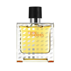 Hermes Men's Terre D'Hermes EDP Spray 2.5 oz (Tester) Fragrances 3346131403189