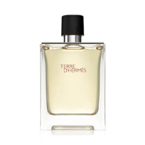 Hermes Men's Terre D'Hermes EDT Spray 6.7 oz Fragrances 3346130013457