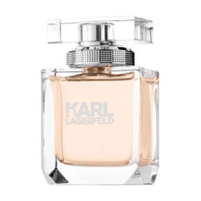 Lagerfeld Karl Lagerfeld / Lagerfeld EDP Spray 2.8 oz (85 ml) (w)