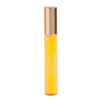 Elizabeth Arden Sunflowers / Elizabeth Arden EDT Spray 0.5 oz (15 ml) (W)
