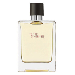 Hermes Terre Dhermes / Hermes EDT Spray 3.3 oz (100 ml) (M)