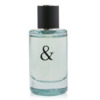 Tiffany & Co. Men's Love EDT Spray 1.7 oz Fragrances 3614227728820