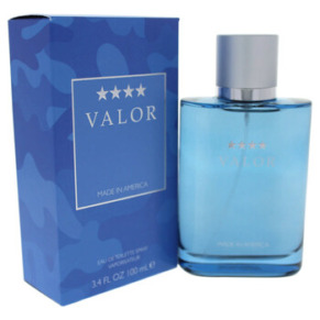 Dana Valor by Dana for Men - 3.4 oz EDT Spray
