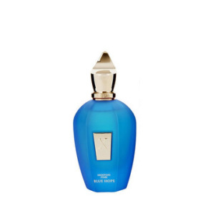 Xerjoff Unisex Blue Hope EDP Spray 3.4 oz Fragrances 8033488151980